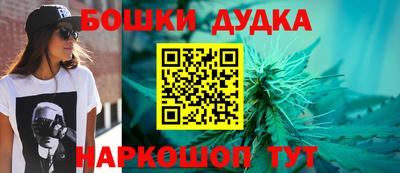прущие грибы Славгород