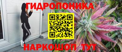 винт Славянск-на-Кубани