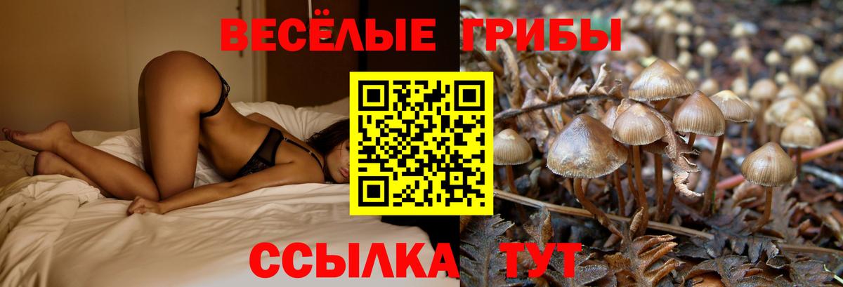 Галлюциногенные грибы мицелий Ногинск